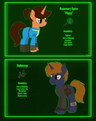 Size: 2474x3131 | Tagged: safe, artist:dyonys, derpibooru import, oc, oc:buttercup, oc:rosemary "flippy" spice, pony, unicorn, fallout equestria, clothes, commission, cutie mark, fallout, female, image, male, mare, pipbuck, png, reference sheet, stallion, text