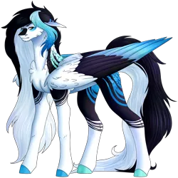 Size: 3412x3409 | Tagged: safe, artist:amcirken, derpibooru import, oc, oc:koda, pegasus, pony, chest fluff, colored wings, image, male, multicolored wings, png, simple background, solo, stallion, transparent background, wings