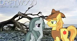 Size: 2064x1105 | Tagged: safe, anonymous artist, derpibooru import, braeburn, marble pie, earth pony, pony, beach, braeble, cloud, daytime, driftwood, duet, female, image, looking at each other, lyrics in the description, male, mare, ocean, png, rock, shipping, smiling, song reference, stallion, straight, winter, youtube link in the description