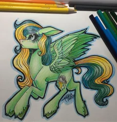 Size: 1080x1127 | Tagged: safe, artist:moshi.poni, derpibooru import, oc, unofficial characters only, pegasus, pony, eyelashes, female, image, irl, jpeg, mare, pegasus oc, photo, signature, solo, traditional art, unshorn fetlocks, wings