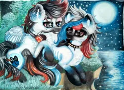 Size: 1024x744 | Tagged: safe, artist:maryhoovesfield, derpibooru import, oc, unofficial characters only, pegasus, pony, choker, duo, full moon, image, jpeg, looking back, moon, night, outdoors, pegasus oc, pond, smiling, socks (coat marking), spiked choker, stars, traditional art, wings