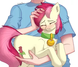 Size: 2500x2152 | Tagged: safe, artist:chibadeer, derpibooru import, roseluck, human, pony, behaving like a cat, collar, commission, commissioner:doom9454, cute, eyes closed, fluffy, holding a pony, image, pet tag, petting, png, pony pet, purring, rosepet