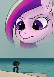 Size: 600x843 | Tagged: suggestive, artist:pony quarantine, princess cadance, oc, oc:anon, ponified, alicorn, human, pony, animated, beach, cadance is not amused, clothes, disapproval, drawthread, duo, female, frown, gif, image, male, mare, masturbation, ocean, requested art, suit, unamused