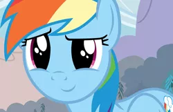 Size: 6188x4000 | Tagged: safe, derpibooru import, screencap, rainbow dash, pegasus, pony, the super speedy cider squeezy 6000, absurd resolution, background, big eyes, close-up, cute, cutie mark, dashabetes, female, flying, happy, image, looking ahead, looking forward, mare, outdoors, png, rainbow dash's cutie mark, smiling, sweet face, wings
