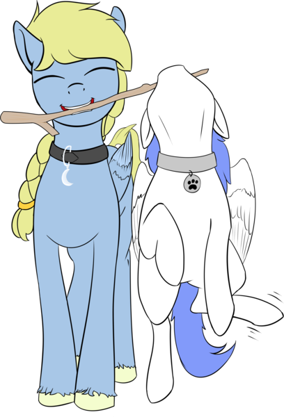 Size: 2629x3867 | Tagged: safe, artist:barhandar, oc, oc:snow pup, oc:windswept skies, unofficial characters only, pegasus, pony, behaving like a dog, charm, collar, colored, duo, ears, eyes closed, female, flat colors, floppy ears, hanging, image, male, mare, mouth hold, pet play, pet tag, png, simple background, smiling, stallion, stick, transparent background, unshorn fetlocks