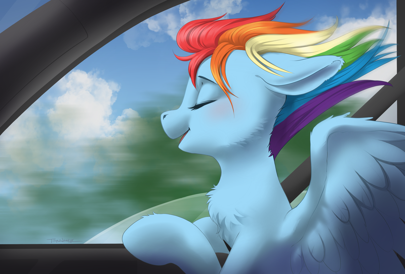 Size: 4250x2873 | Tagged: safe, artist:taytinabelle, rainbow dash, pegasus, pony, behaving like a dog, blurred background, blushing, car, cheek fluff, chest fluff, cloud, cute, dashabetes, eyes closed, female, floppy ears, happy, image, mare, open mouth, png, seatbelt, smiling, solo, spread wings, wind, windswept mane, wings