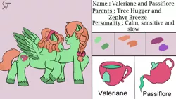 Size: 1280x720 | Tagged: safe, artist:schumette14, derpibooru import, oc, oc:passiflore, oc:valeriane, earth pony, pegasus, first design, image, jpeg, next generation, offspring, parents:zephyrhugger, parent:tree hugger, parent:zephyr breeze, twins