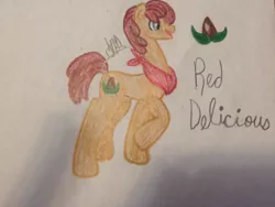 Size: 2048x1536 | Tagged: safe, artist:akajulester, derpibooru import, oc, oc:red delicious, unofficial characters only, earth pony, pony, colored pencil drawing, colt, cutie mark, handkerchief, image, jpeg, male, offspring, parent:applejack, parent:caramel, parents:carajack, seed, solo, traditional art
