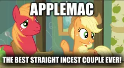 Size: 1589x869 | Tagged: suggestive, deleted from derpibooru, derpibooru import, edit, edited screencap, screencap, applejack, big macintosh, apple family reunion, applecest, applemac, caption, female, image, image macro, imgflip, incest, jpeg, male, shipping, straight, text