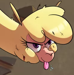 Size: 377x381 | Tagged: safe, artist:hitsuji, derpibooru import, paprika paca, them's fightin' herds, angry, blood, community related, image, looking up, png, solo