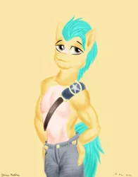 Size: 1100x1400 | Tagged: safe, artist:rockhoppr3, derpibooru import, hitch trailblazer, anthro, earth pony, chest fluff, clothes, g5, image, jeans, pants, partial nudity, png, solo, topless