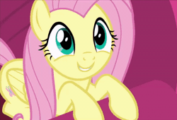 Size: 572x390 | Tagged: safe, derpibooru import, screencap, fluttershy, pegasus, pony, sweet and smoky, animated, cropped, cute, gif, image, shyabetes, solo, weapons-grade cute