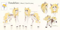 Size: 9000x4504 | Tagged: safe, artist:ohhoneybee, derpibooru import, oc, oc:dandelion, earth pony, pony, image, png, reference sheet, solo