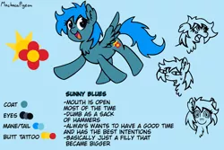 Size: 1200x800 | Tagged: safe, artist:machacapigeon, ponybooru import, oc, oc:sunny blues, unofficial characters only, pegasus, pony, chest fluff, female, image, looking at you, open mouth, png, signature, simple background, solo, text