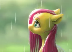 Size: 2892x2117 | Tagged: safe, artist:bunchedupletters, derpibooru import, fluttershy, pegasus, pony, blurred background, bust, cute, female, high res, image, looking up, mare, png, portrait, profile, qr code, rain, shyabetes, simple background, smiling, solo, wet, wet mane