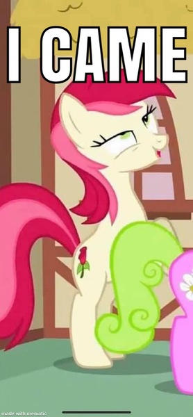 Size: 555x1200 | Tagged: suggestive, derpibooru import, edit, edited screencap, screencap, daisy, flower wishes, roseluck, the cutie pox, ahegao, cropped, flower, funny, funny face, i came, image, jpeg, meme, offscreen character, open mouth, rearing, rose, solo focus, tongue out