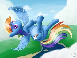 Size: 4840x3660 | Tagged: safe, artist:dhm, derpibooru import, rainbow dash, pegasus, pony, cloud, cute, flying, image, png