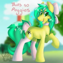 Size: 1200x1200 | Tagged: safe, artist:vashtwiist, derpibooru import, oc, oc:sun drop, unofficial characters only, earth pony, pony, background, bow, clothes, image, jpeg, pogchamp, poggers, socks, solo