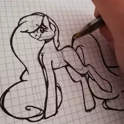 Size: 1080x1080 | Tagged: safe, artist:tessa_key_, derpibooru import, oc, unofficial characters only, earth pony, pony, earth pony oc, eyelashes, graph paper, image, jpeg, lineart, solo