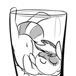 Size: 1000x1000 | Tagged: safe, artist:tjpones, derpibooru import, oc, oc:bandy cyoot, unofficial characters only, hybrid, pony, raccoon, raccoon pony, belly button, cup, cup of pony, cute, eyes closed, female, glass, glass of pony, grayscale, image, mare, micro, monochrome, ocbetes, png, simple background, solo, white background
