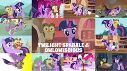 Size: 1280x721 | Tagged: safe, derpibooru import, edit, edited screencap, editor:quoterific, screencap, applejack, fluttershy, owlowiscious, pinkie pie, spike, twilight sparkle, twilight sparkle (alicorn), alicorn, bird, dragon, earth pony, owl, pegasus, pony, unicorn, do princesses dream of magic sheep, just for sidekicks, may the best pet win, owl's well that ends well, twilight's kingdom, bag, book, brush, candle, carousel boutique, explosion, golden oaks library, image, library, night, png, quill, saddle bag, tired, unicorn twilight