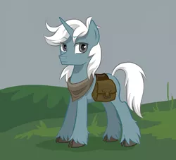 Size: 2400x2178 | Tagged: safe, artist:saby, derpibooru import, oc, oc:ironwood atlas, unofficial characters only, pony, unicorn, bag, cel shading, cloud, cloudy, cloven hooves, colored hooves, derpibooru exclusive, eyebrows visible through hair, gift art, hoof fluff, horse heresy, image, long feather, looking at you, male, neckerchief, outdoors, png, saddle bag, serious, shading, solo, stallion, standing, unshorn fetlocks