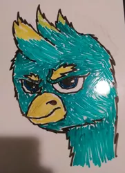 Size: 2226x3080 | Tagged: safe, derpibooru import, gallus, avian, gryphon, angry, beak, bust, :c, >:c, dry erase board, frown, glare, image, jpeg, marker drawing, mohawk, portrait, quality, scowl, spiky hair, traditional art