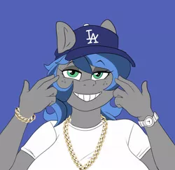 Size: 1104x1073 | Tagged: safe, artist:littlebibbo, derpibooru import, oc, oc:bibbo, unofficial characters only, anthro, pegasus, baseball cap, blue background, breasts, cap, chains, clothes, female, freckles, grin, hat, image, jpeg, lidded eyes, looking at you, meme, pose, shirt, simple background, smiling, solo, watch, wristwatch