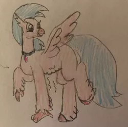 Size: 1024x1018 | Tagged: safe, artist:powerpup97, derpibooru import, silverstream, hippogriff, hunger, hungry, image, jpeg, sketch, solo, starving, stomach growl, stomach noise, traditional art