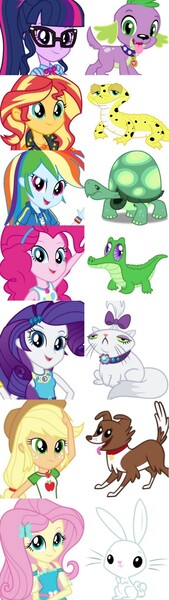 Size: 574x2035 | Tagged: safe, derpibooru import, angel bunny, applejack, fluttershy, gummy, opalescence, pinkie pie, rainbow dash, rarity, ray, sci-twi, spike, spike the regular dog, sunset shimmer, tank, twilight sparkle, winona, dog, gecko, leopard gecko, rabbit, equestria girls, equestria girls series, spoiler:eqg series (season 2), animal, humane five, humane seven, humane six, image, jpeg, pet, simple background, white background