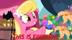 Size: 1300x730 | Tagged: safe, derpibooru import, edit, edited screencap, editor:knightoftheraven, screencap, lily, lily valley, earth pony, pony, it isn't the mane thing about you, bouquet, bouquet of flowers, contemplating insanity, english, female, flower, flower in hair, grin, image, lily (flower), mare, market, marketplace, nervous, nervous grin, png, ponyville market, raised hoof, reaction image, red text, rose, smiling, solo, standing, tent, text, this is fine