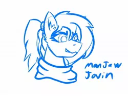 Size: 2048x1534 | Tagged: safe, artist:korenav, oc, oc:jovin, oc:jovin sharpsight, unofficial characters only, pony, bust, clothes, ear fluff, female, image, jpeg, mare, monochrome, ponytail, portrait, sketch, solo, text