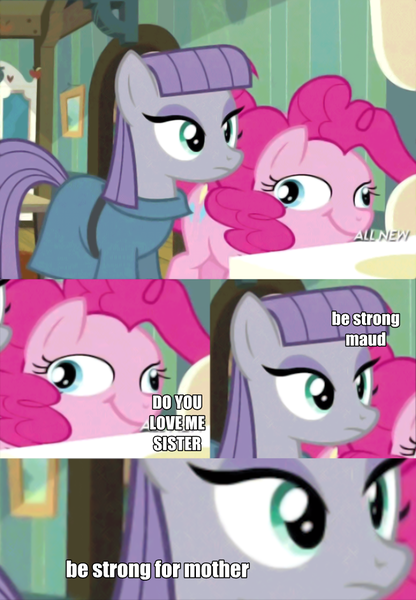 Size: 654x943 | Tagged: safe, derpibooru import, edit, edited screencap, screencap, maud pie, pinkie pie, ponified, earth pony, pony, maud pie (episode), caption, close-up, collage, derp, female, great moments in animation, image, image macro, joke, mare, meme, png, ponified meme, ponk, smear frame, text