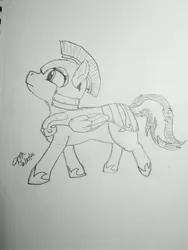 Size: 3024x4032 | Tagged: safe, artist:dmdash71, oc, unofficial characters only, pegasus, pony, armor, female, guardsmare, helmet, hoof shoes, image, jpeg, mare, pegasus oc, royal guard, signature, solo, traditional art, wings