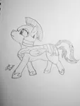 Size: 3024x4032 | Tagged: safe, artist:dmdash71, oc, unofficial characters only, pegasus, pony, armor, female, guardsmare, helmet, hoof shoes, image, jpeg, mare, pegasus oc, royal guard, signature, solo, traditional art, wings