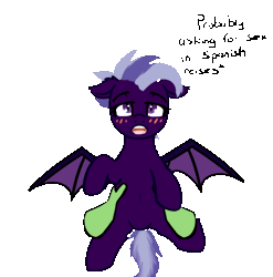Size: 1088x1099 | Tagged: suggestive, artist:neuro, oc, oc:anon, oc:purity ebonshield, unofficial characters only, bat pony, human, pony, fanfic:everyday life with guardsmares, animated, bat pony oc, bat wings, cute, disembodied hand, female, gif, guardsmare, hand, holding a pony, image, mare, royal guard, simple background, squirming, transparent background, wings