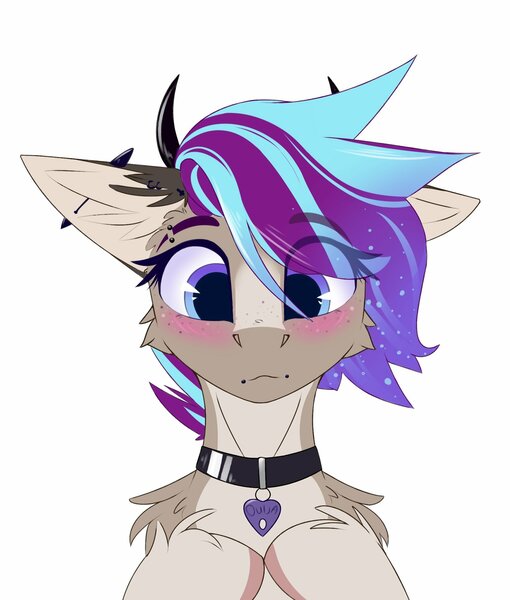 Size: 1700x2000 | Tagged: safe, artist:observerdoz, derpibooru import, oc, oc:ouija, blushing, collar, horns, image, jpeg, piercing