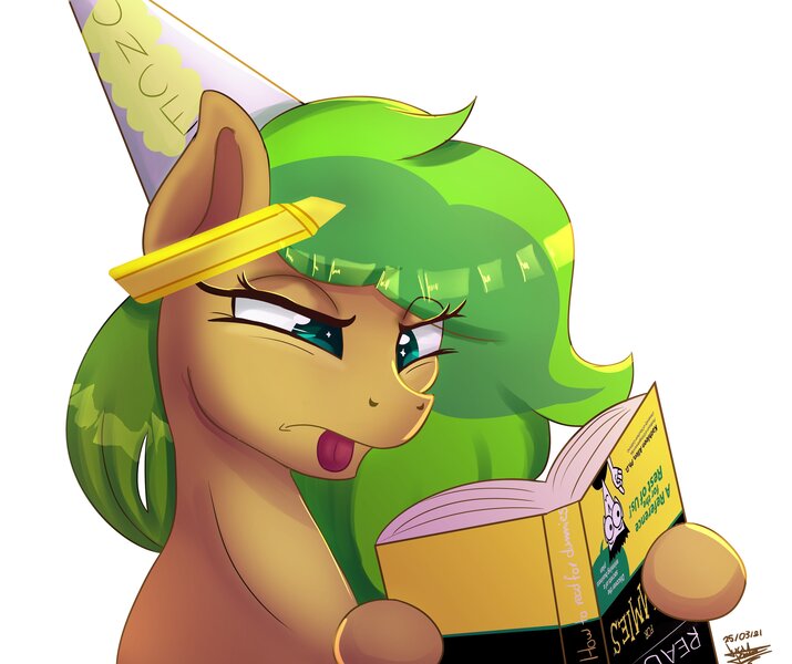 Size: 3447x2894 | Tagged: safe, artist:scarlett-letter, derpibooru import, oc, oc:muddy, unofficial characters only, earth pony, pony, book, commission, confused, dunce hat, for dummies, hat, highlighter, image, jpeg, solo