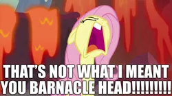 Size: 2100x1180 | Tagged: safe, derpibooru import, edit, edited screencap, screencap, fluttershy, angry, dying for pie, image, implied angel bunny, jpeg, quote, reference, spongebob squarepants, squidward tentacles, yelling