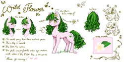 Size: 1280x640 | Tagged: safe, artist:hapinkie, derpibooru import, oc, earth pony, pony, image, jpeg, reference sheet