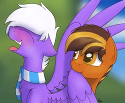 Size: 1700x1400 | Tagged: safe, artist:ponynamedmixtape, derpibooru import, oc, oc:mixtape, unofficial characters only, earth pony, pegasus, background, blushing, clothes, gay, grooming, image, male, outdoors, png, preen, preening, scarf