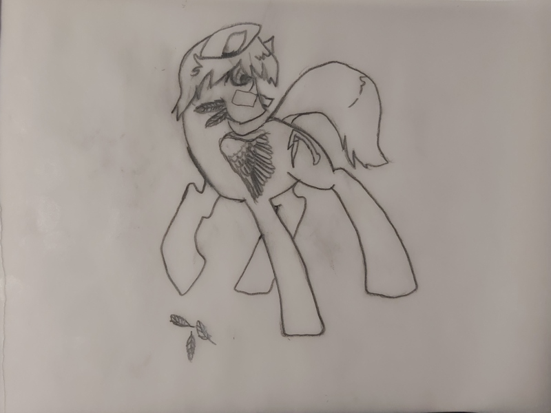 Size: 4032x3024 | Tagged: artist needed, safe, derpibooru import, oc, oc:fast fret, pegasus, grooming, image, jpeg, preenhub, preening, solo, traditional art