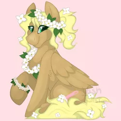 Size: 1200x1200 | Tagged: safe, artist:vashtwiist, derpibooru import, oc, oc:dust bunny, unofficial characters only, pegasus, flower, flower in hair, image, looking at you, pegasus oc, png, wings