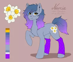 Size: 3655x3125 | Tagged: safe, artist:alexispaint, derpibooru import, oc, oc:narcie, earth pony, pony, clothes, cutie mark, female, glasses, image, mare, piercing, png, reference sheet, socks, solo, standing