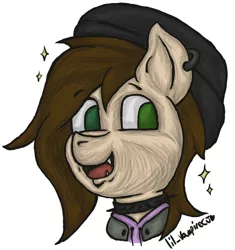 Size: 1280x1363 | Tagged: safe, artist:lil_vampirecj, derpibooru import, oc, oc:cjvampire, unofficial characters only, earth pony, pony, arabian, arabian pony, beanie, bomber jacket, brown mane, clothes, collar, ear piercing, earring, fangs, green eyes, hat, hoodie, image, jacket, jewelry, jpeg, piercing, pogchamp, poggers, smiling, solo, sparkles, spiked collar, stars
