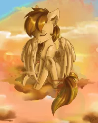 Size: 1780x2234 | Tagged: safe, artist:yuris, derpibooru import, oc, oc:sharpwing, unofficial characters only, pegasus, pony, brown mane, cleaning, cloud, image, male, png, raised hoof, sky, solo, sunset