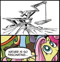 Size: 734x757 | Tagged: safe, fluttershy, dododo de dadada, exploitable meme, image, jojolion, jojo's bizarre adventure, meme, nature is so fascinating, obligatory pony, png, rock insect, spoilers for another series