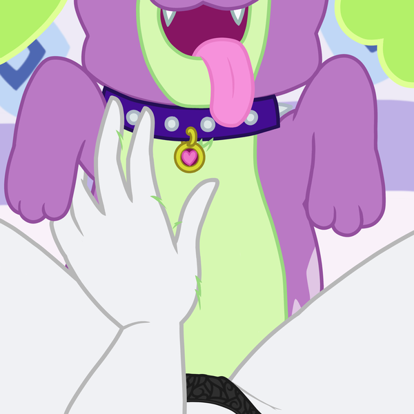 Size: 3500x3500 | Tagged: questionable, artist:covight, derpibooru import, rarity, spike, dog, equestria girls, clothes, female, female pov, image, male, offscreen character, panties, png, pov, rarity's bedroom, shipping, sparity, spike gets all the equestria girls, spike the dog, spread legs, spreading, straight, underwear