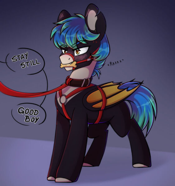 Size: 1280x1366 | Tagged: suggestive, artist:cloud-fly, derpibooru import, oc, unofficial characters only, bat pony, pony, bat pony oc, bat wings, bondage, image, jpeg, pet play, solo, wings