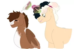 Size: 1280x854 | Tagged: safe, artist:itstechtock, derpibooru import, oc, oc:halfmoon cookie, oc:whippoorwill, unofficial characters only, pegasus, pony, unicorn, female, hair dye, image, jpeg, magic, magical lesbian spawn, male, mare, offspring, parent:derpy hooves, parent:doctor whooves, parent:fresh coat, parent:sweet biscuit, parents:doctorderpy, simple background, stallion, white background